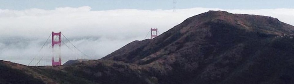 Adventurous Wanderer